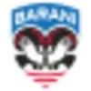 Barani – Hokejová škola M. Handzuša