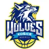 Košice Wolves