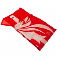 Klubová vlajka 152/91cm FC LIVERPOOL Core