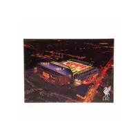 LIVERPOOL F.C. FC magnety 4pk Liverbird