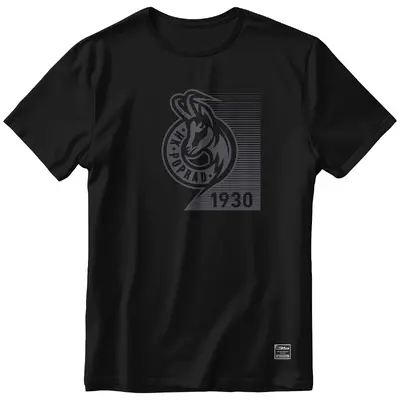 Tričko HK Poprad 2610c