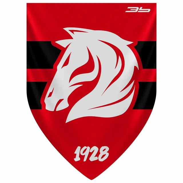 Vlajočka HC Prešov 2703
